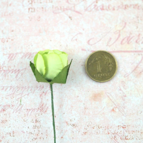 MINI KWIATEK RÓŻA JAŚMINOWA MINI KWIATEK RÓŻA JAŚMINOWA